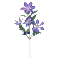 Zijde Clematis paars